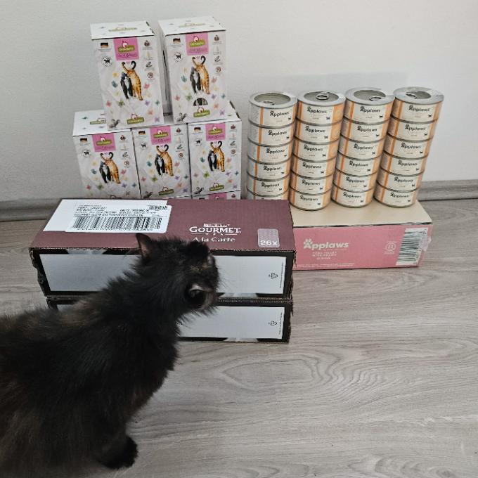 Valentýnská nadílka konzerv pro útulkáčky