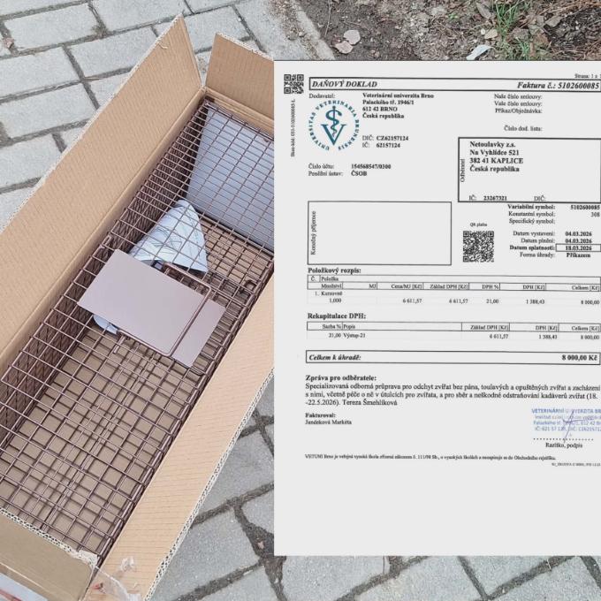 Odchytový kurz + sklopec