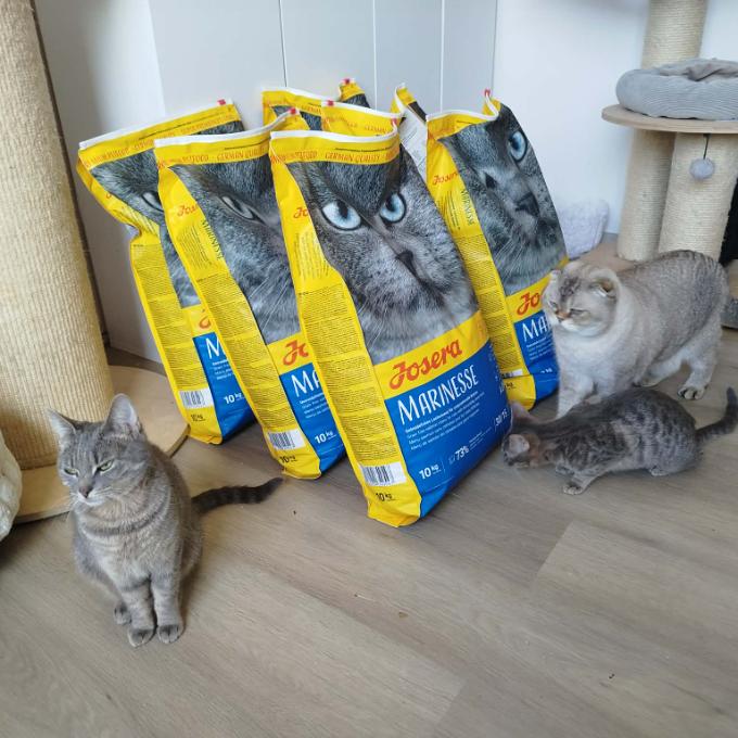 60 kg kvalitního krmení pro naše kočky 🐾