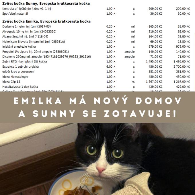 KONTROLA A LÉČBA SUNNY A EMILKY