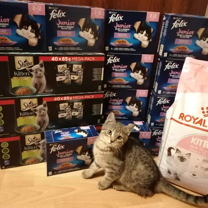 KRMIVO PRO KOŤÁTKA