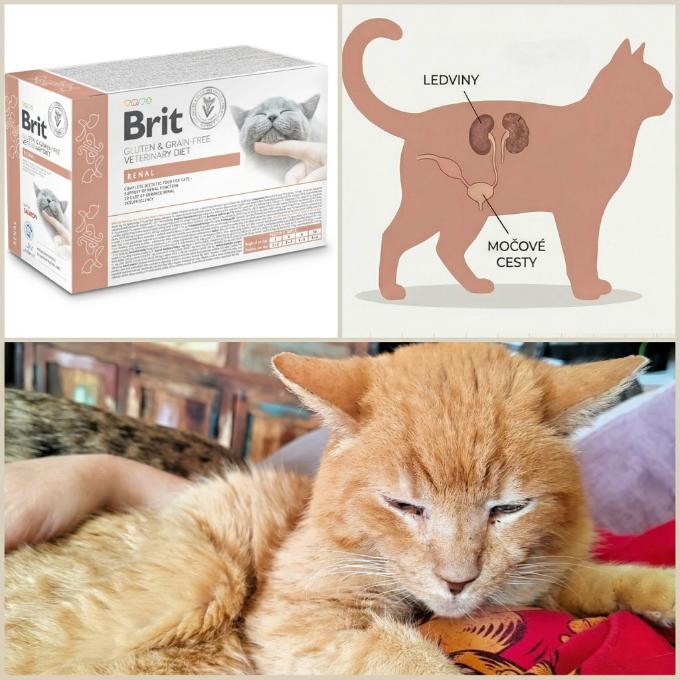 Mokrá dieta pro ledvináře