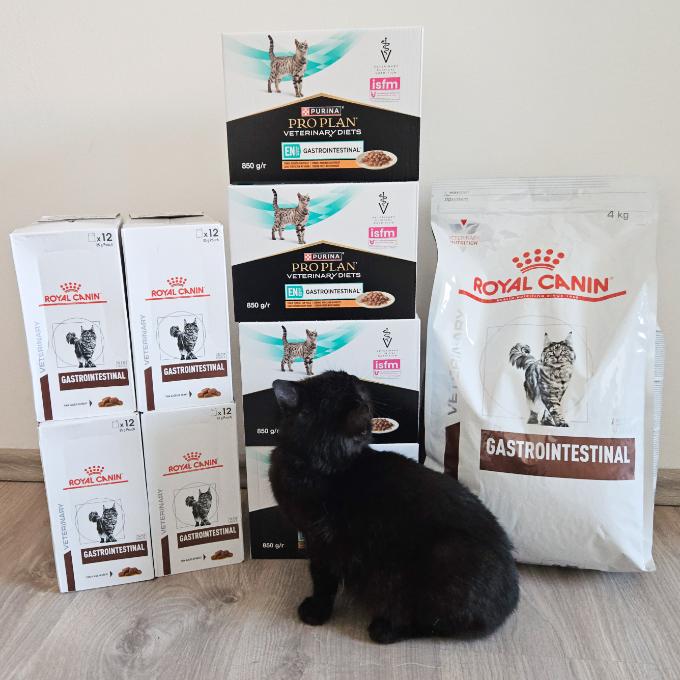 Gastro pomoc pro Majkyho