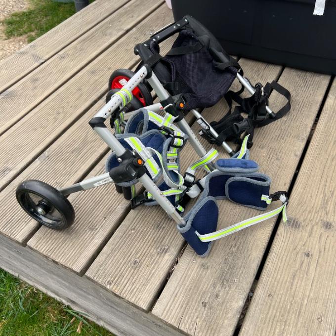 Vozík pro hendikepovanou kočku