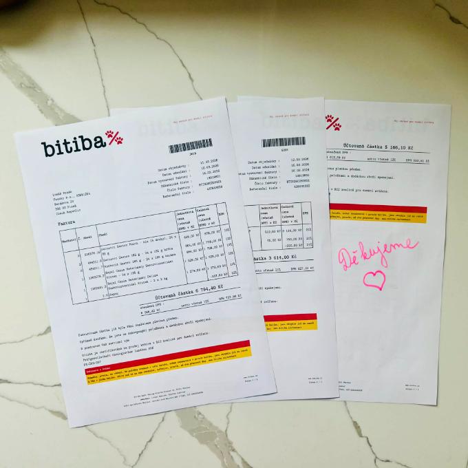 Lepší život pro 19 koček