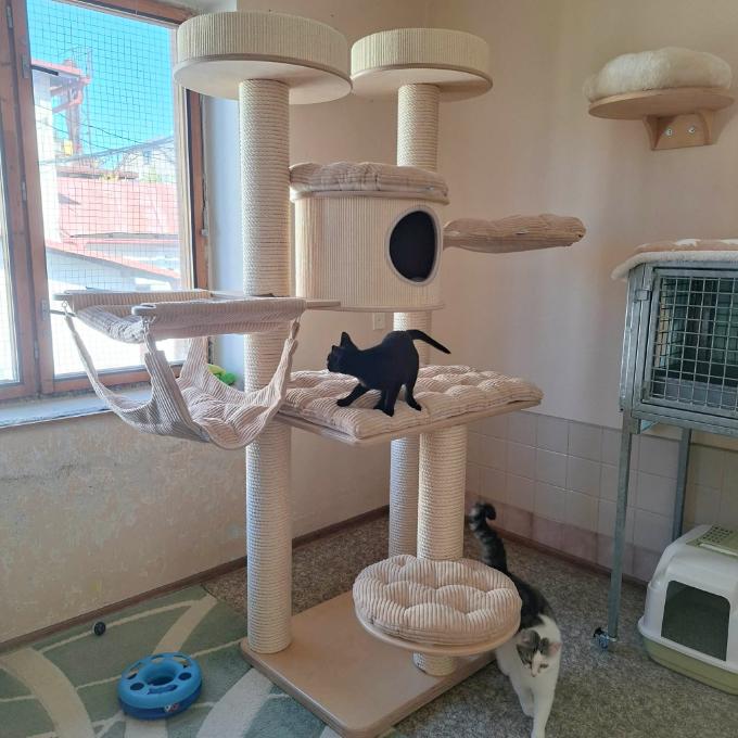 Škrabadlo pro mikešácké kočičky