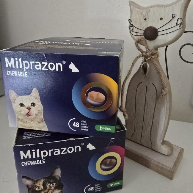 Antiparazitika