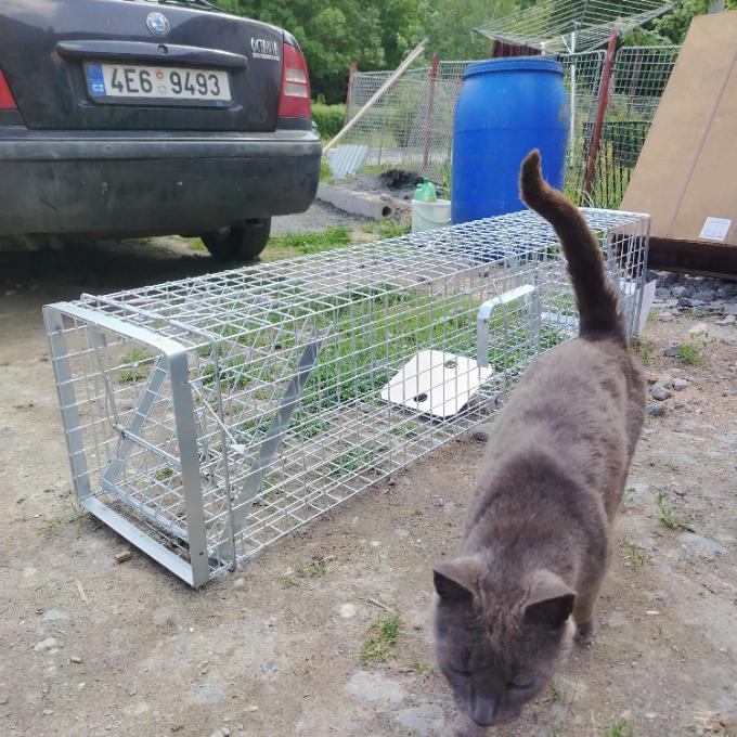 Doplňte s námi chybějící techniku