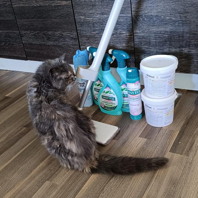 DEZINFEKCE A MOP PRO TLAPKÁRIUM