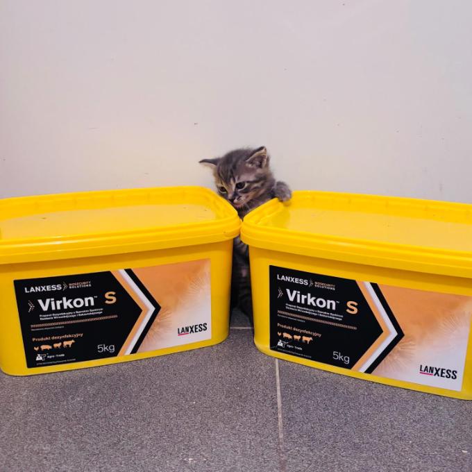 Virkon pro Fousek