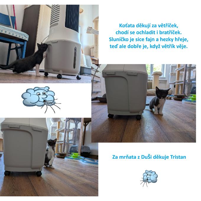 Chládek i v letním parnu