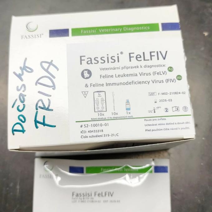 Testy FIV/FELV pro kočičky z Frídy