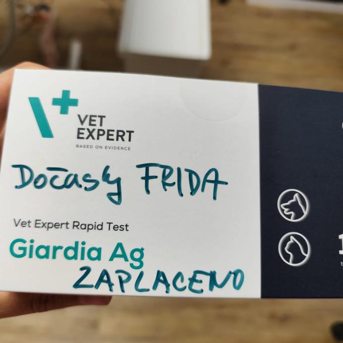Testy Giardia pro Dočasky Frida