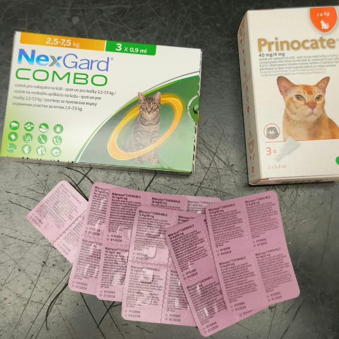 Antiparazitika pro Fridu