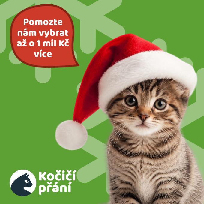 Reklama pro další kolo Kočičího přání